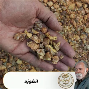  آنغوزه(انغوزه)تمیز شده گوهرگیاه - 10گرمی