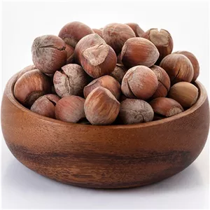 فندق محلی اعلی و مغز روغنی ارسال رایگان 
