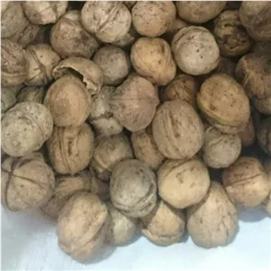 گردوی مغز قهوه ای ارسال رایگان 