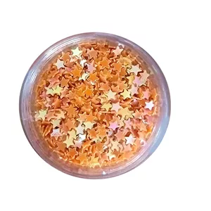 پودر اکلیل مدل ستاره کد ASS-26 وزن 3.5 گرم RRZ