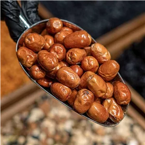 سنجد درشت حاج حسین 500 گرمی 