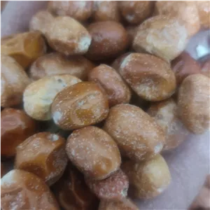 سنجد پودری 500 گرمی 