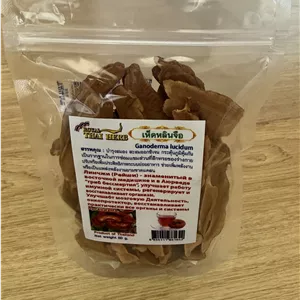 گانودرما اصلی