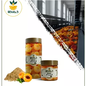 قیسی بسته بندی درشت و تازه 500 گرم با کیفیت عالی و تازه