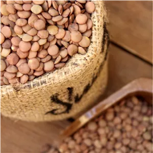 عدس قهوه ای درجه 1