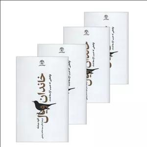 کتاب خاندان ویال اثر کلود میشله انتشارات فرهنگ معاصر 4 جلدی مدل 1