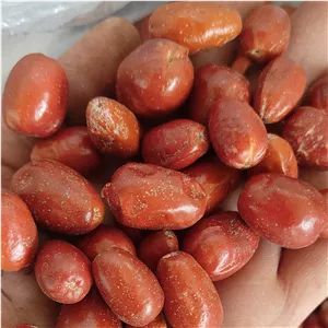 سنجد قزل اعلی 250 گرمی 
