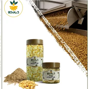 تخمه کدو گوشتی بوداده بسته بندی پودر شده ، 50 گرمی