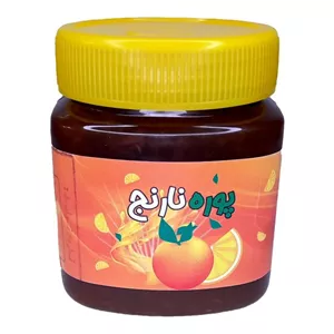پوره نارنج غدیر (480 گرم)