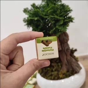 شکلات دبی مینی پک 3 عددی