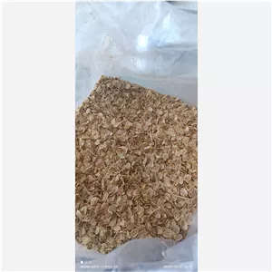 بذر کرفس کوهی