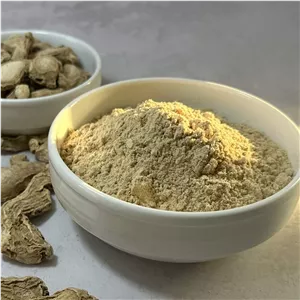 پودر زنجبیل درجه 1
