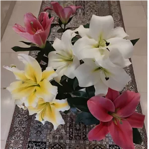 پیاز گل لیلیوم اورینتال معطر رنگ میکس (3 تایی)