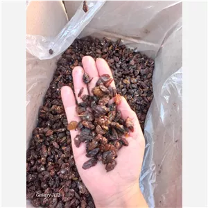 کشمش افتابی. بدون تیزاب  ابگیری