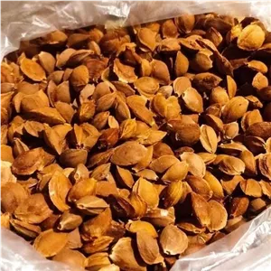 هسته شیرین زردآلو 250 گرمی 