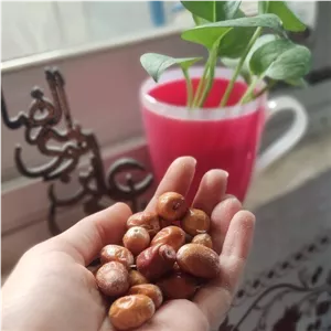 سنجد نقلی شیرین 250 گرمی 