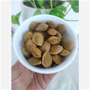 هسته تلخ زردآلو 250 گرمی 
