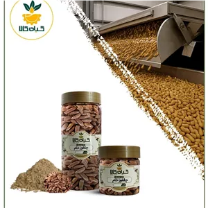 چلغوز (دانه کاج) خام بسته بندی تازه و درشت 100 گرمی