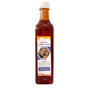 سرکه انگبین افتیمون و اسطوخودوس غدیر (600 گرم)