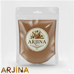 ادویه همبرگر کلاسیک آرجینا - 500گرم
