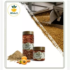 مغز هسته زردآلو خام بسته بندی تازه و درشت