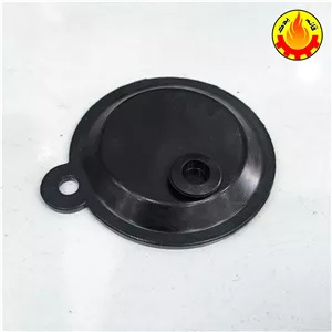 دیافراگم آبگرمکن بوتان پمپ پلاستیکی BX114