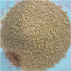 خردل زرد چهارگل چهارمحال وبختیاری100گرمی