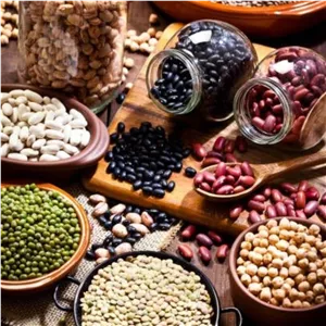 عدس ارگانیک چتر گندمی