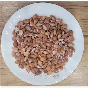 مغز هسته زردآلو  بو داده ( با نمک. بی نمک ) ارگانیک و درشت(موجودی بگیرید)  