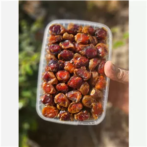خرمای برحی شیره دار 