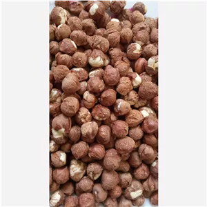 مغز فندق خام درجه یک اشکورات برداشت 1404 (بسته 250 گرمی)