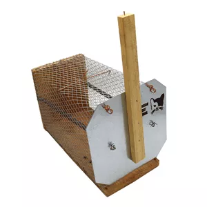 تله موش مدل پرشین کت کد YPM-30CMمدل 1