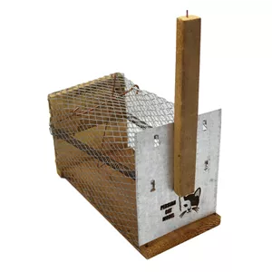 تله موش مدل پرشین کت کد YPK-22CMمدل 1