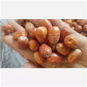 سنجد نقلی محلی 500 گرمی 