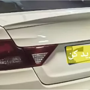 بال صندوق عقب شاهین، TJS