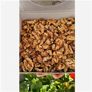 مغز گردو صبحانه تویسرکان 