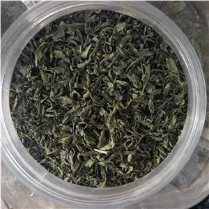 چای سبز لاهیجان یک کیلو