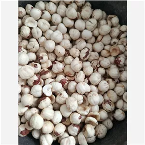 مغز فندق سفید درجه یک اشکورات برداشت 1404 (بسته 250 گرمی)