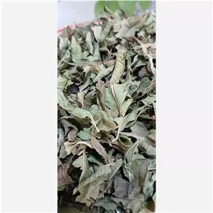 برگ به لیمو خشک اعلا وزن 100 گرمی