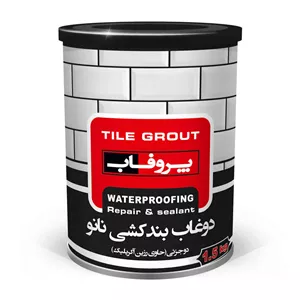 نانو دوغاب بندکشی دوجزئی پروفاب مدل BL-NGROUT وزن 1.5 کیلوگرم Rw6