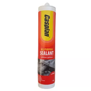 چسب آکواریوم کاسپین مدل Cl77001 وزن 330 گرم SP2