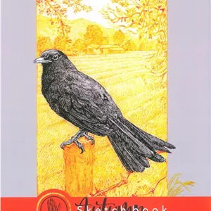 کتاب دفتر نقاشی و طراحی 40 برگ (طرح پاییز،کد 1282)،(سیمی) جدید