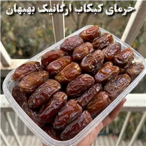 خرمای کبکاب هاویر
