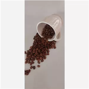 عربیکا برزیل اصل 
