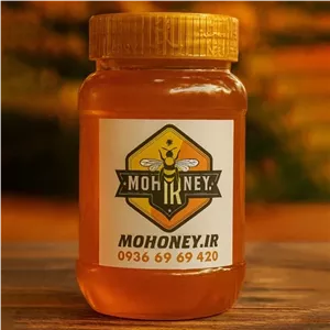 عسل مریم گلی درجه یک (1 کیلو) (با ضمانت مرجوعی) (عسل موهانی)