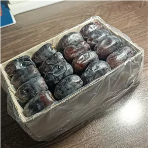 خرما مضافتی درجه یک بم (12 بسته 600 گرمی وزن کل 7.2 کیلو) + تخفیف ویژه عمده