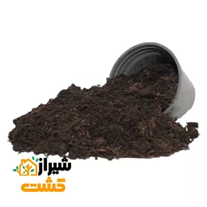 پیت ماس پینداستراپ دانمارک