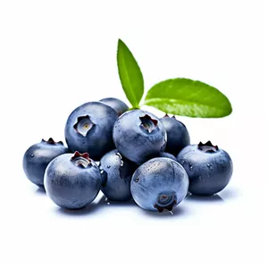 بلوبری ریز