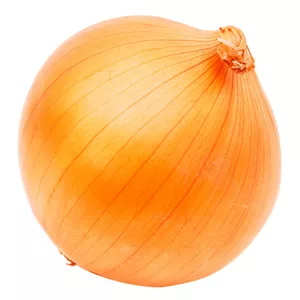 پیاز زرد درشت
