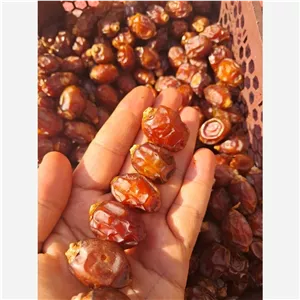 خرما خاصویی آجیلی تازه 